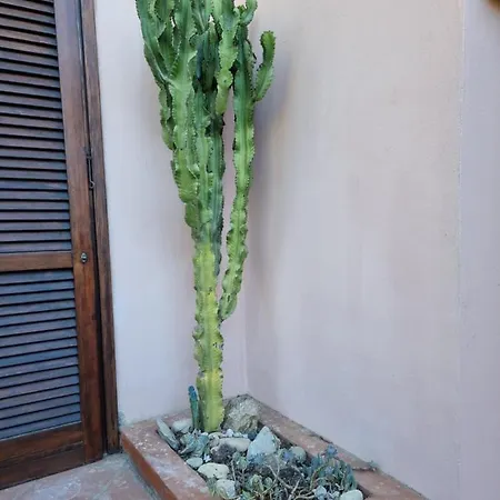 Apartmán Sea & Garden Porto Azzurro