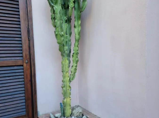 Appartement Sea & Garden Porto Azzurro